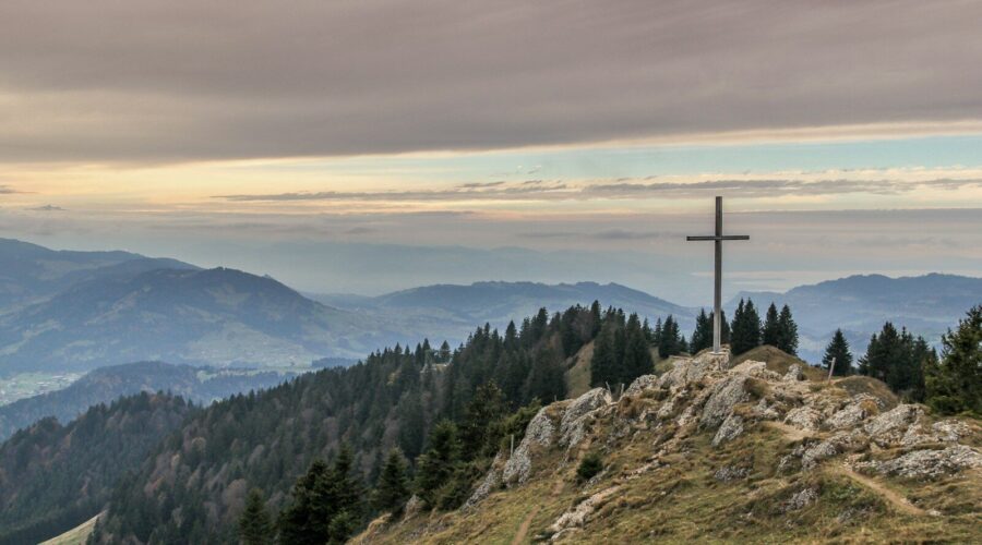 gray cross near tall green trees